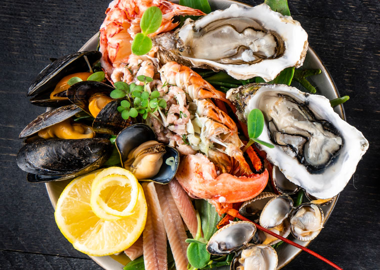 Schaal en schelpdieren